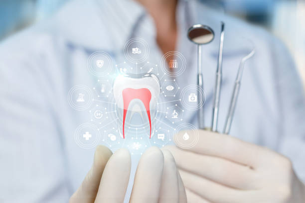Reliable Hagerstown, MD  Holistic Dental Services Solutions